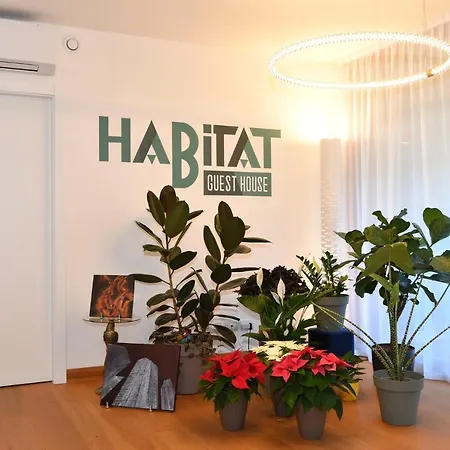 Habitat شقة ترينتو